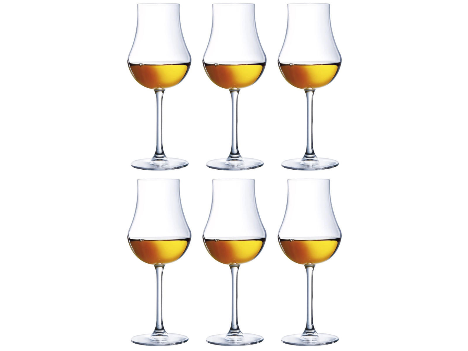 XXXLutz Grappa-Glas Transparent