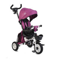 DREIRAD Flexy Lux 3 in 1 lila Tricycle klappbar, Gummireifen, drehbarer Sitz - Violett, Metall (75/52/110cm)