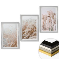 WANDBILDER 3er Set - 40x60 cm Silberner Rahmen - Grasflächen in Braun- und Beigetönen - Silberfarben, Kunststoff (40/60cm) - ArtPrintCave