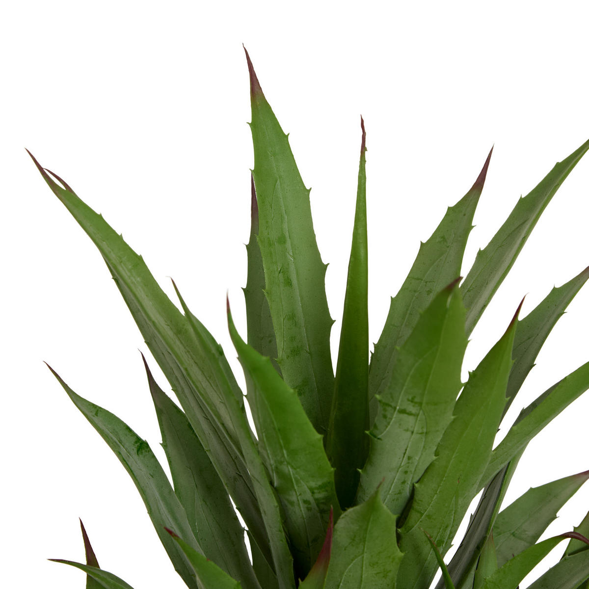 AGAVE in einem geflochtenen Topf Moda 50/45/61 cm - Grün, Kunststoff (61cm) - Atmosphera Createur d´interieur