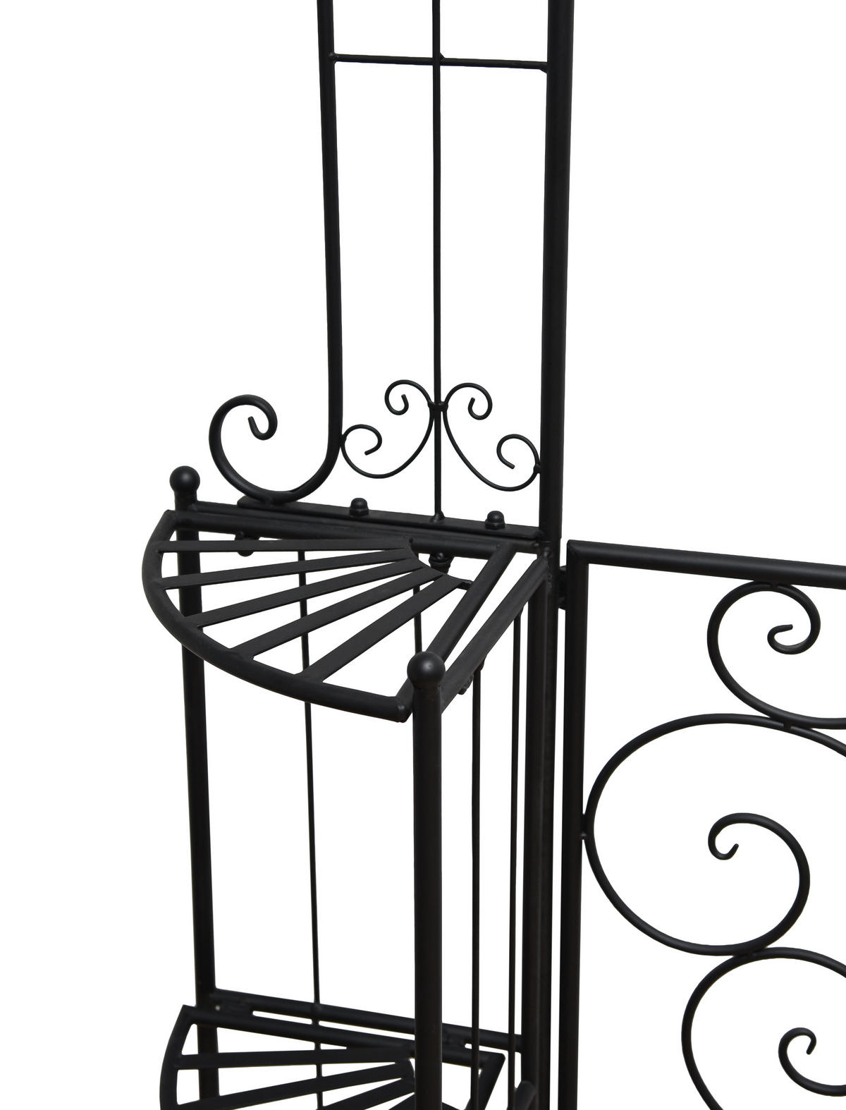 PFORTE Tokio Rosenbogen Stahl Schwarz 230x28x156cm - Schwarz, Metall (28/230/156cm) - DELUKE