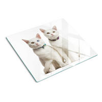GLASPLATTE 60x52 cm Weiße Katzen - Creme, Glas (60/52cm) - TULUP
