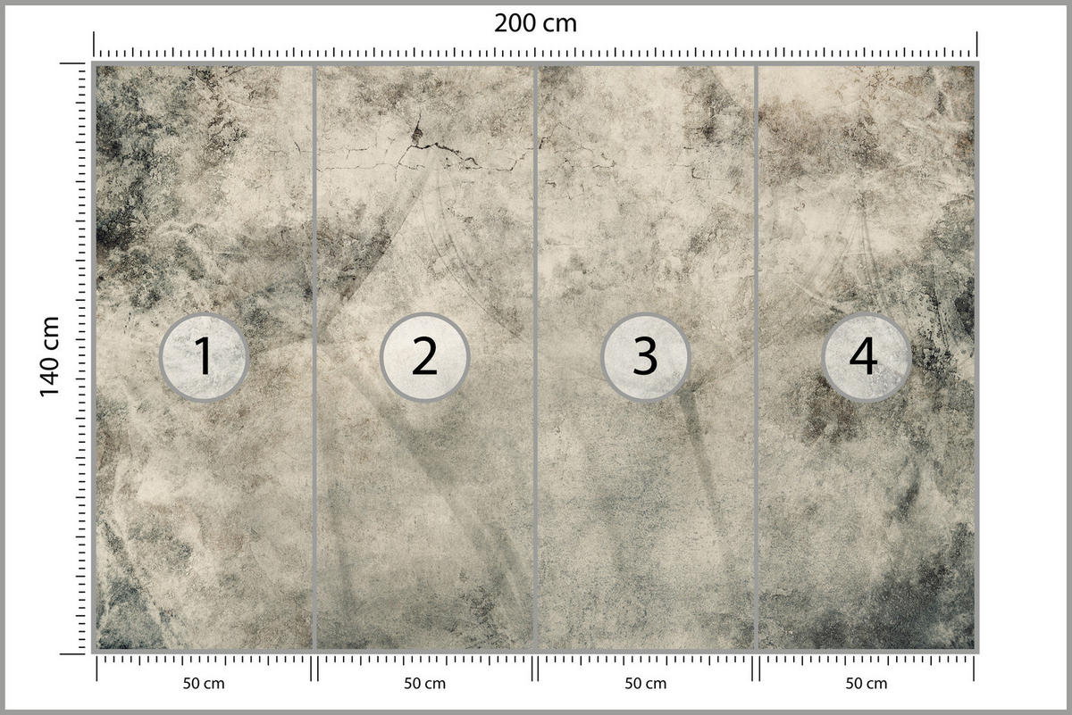 FOTOTAPETE Löwenzahnsamen Beton Vintage Stil 200x140 - Beige/Braun, Papier (200/140cm) - Muralo