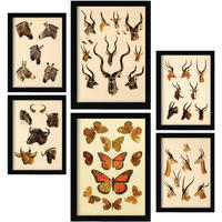 POSTER Set Mit 6 Tiere In Vintage A3 & A4 Weißer Rahmen - Weiß, Papier (29/3cm) - Nacnic