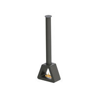 BIOETHANOL-KAMIN Schwarz Deckenmodell mit Rohr inklusive 1.5 L Brennblock - Schwarz, Metall (60/40/190cm) - Purline