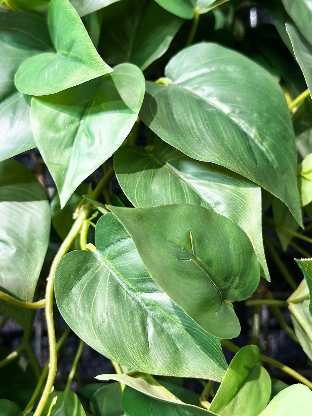 MONSTERAS Künstliche Hänge-Monstera - Barbara 85 cm - Grün, Kunststoff (85cm) - aplanta