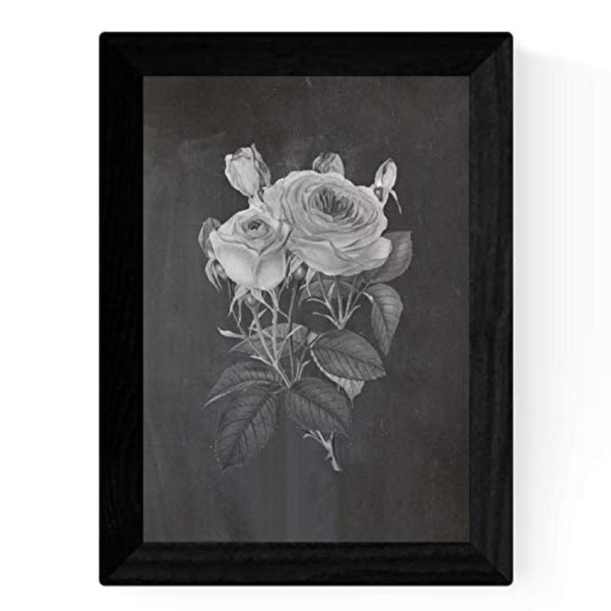 POSTER Set mit 4 Botanische Schwarz Hintergrund Rosen A3 Rahmenlos - Klar, Papier (29.7/3cm) - Nacnic