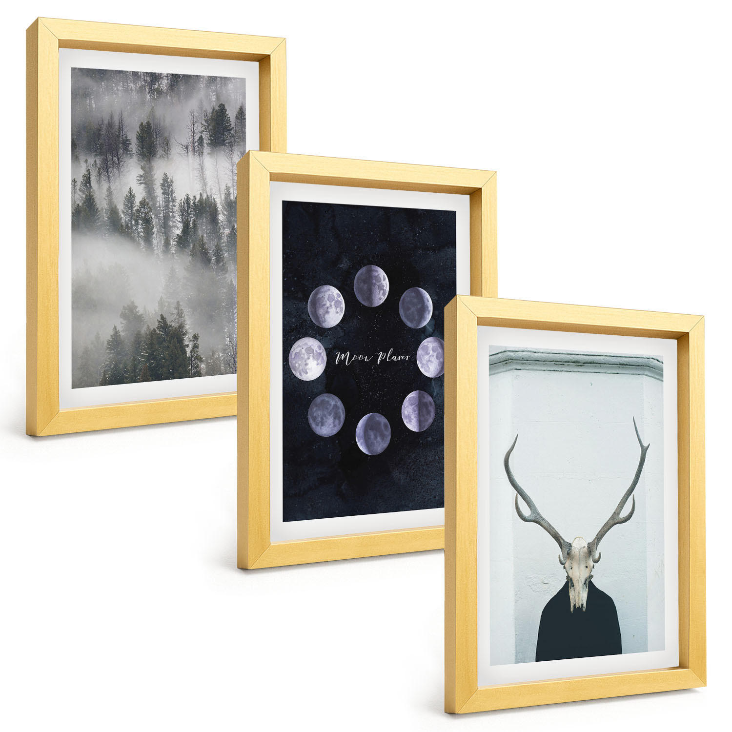 BILDER SET 3er Set - 20x30 cm Goldrahmen - Waldlandschaft, Nebel, Mond, Hirschschädel - Goldfarben, Kunststoff (20/30cm) - TULUP
