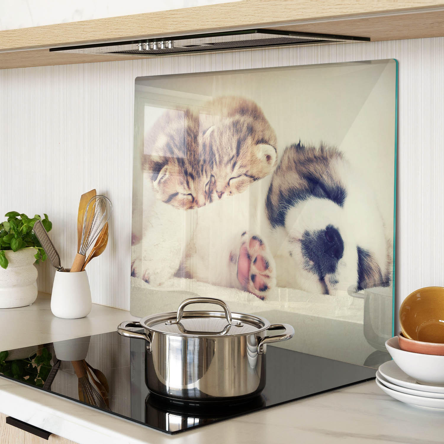 GLASPLATTE 60x52 cm Katzen und Hunde - Pink/Braun, Glas (60/0.4/52cm) - TULUP