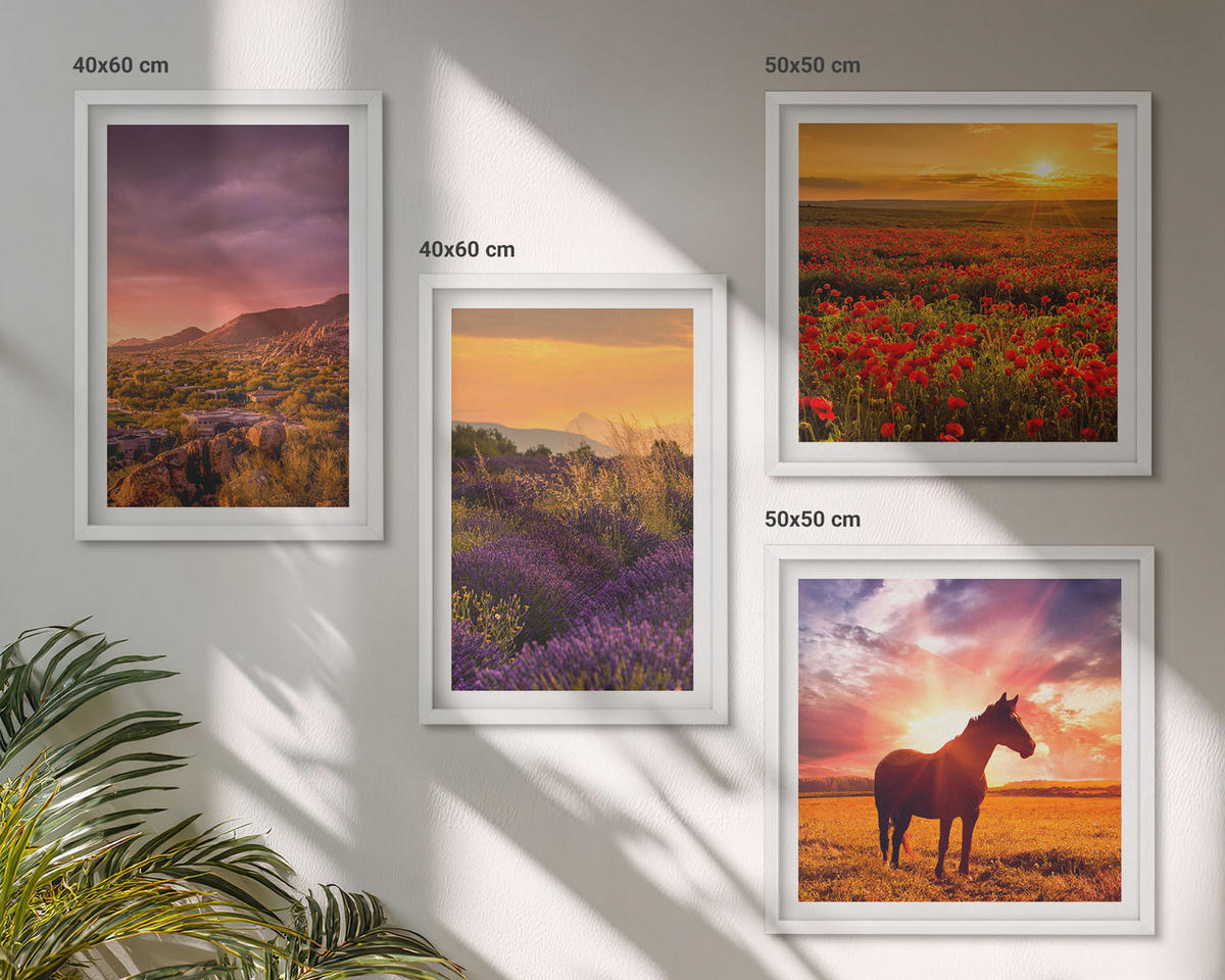 BILDER SET 4er Set - 50x50 cm & 40x60 cm Weißer Rahmen - Berglandschaft Rosslavendel - Weiß, Kunststoff (50/50cm) - TULUP