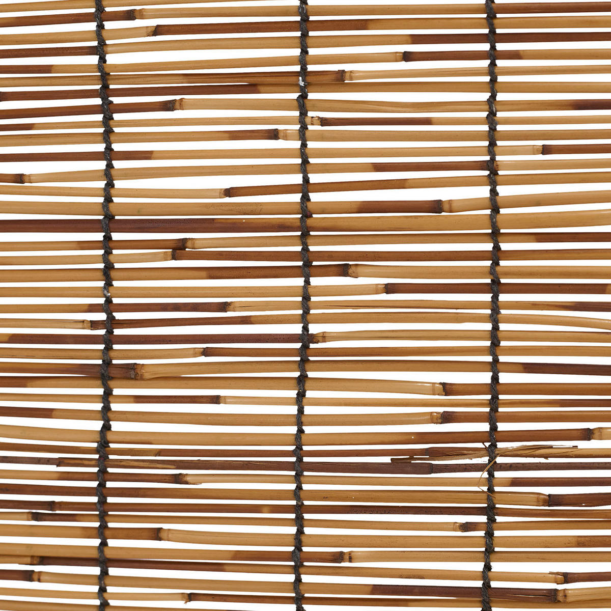 PARAVENT 120/170 cm Schwarz Holz Weide - Schwarz/Braun, Holz (120/170/2cm) - Homestyle4u