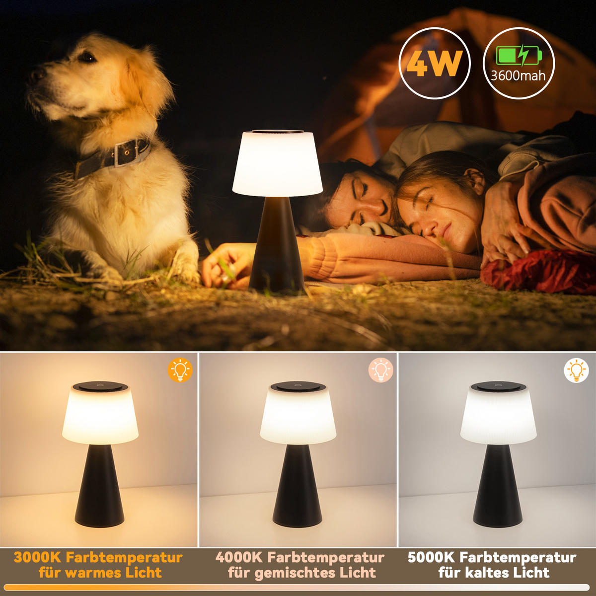 LED TISCHLEUCHTE Nathaniel - Schwarz, Kunststoff (13/13/26cm) - Nettlife