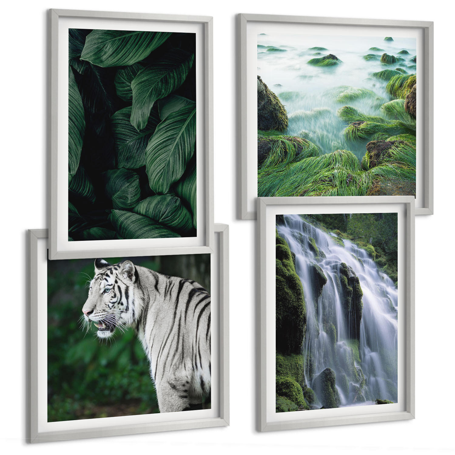 BILDER SET 4er Set - 50x50 cm & 40x60 cm Silberner Rahmen - Blätter des Weißen Tigerwasserfalls - Silberfarben, Kunststoff (50/50cm) - TULUP