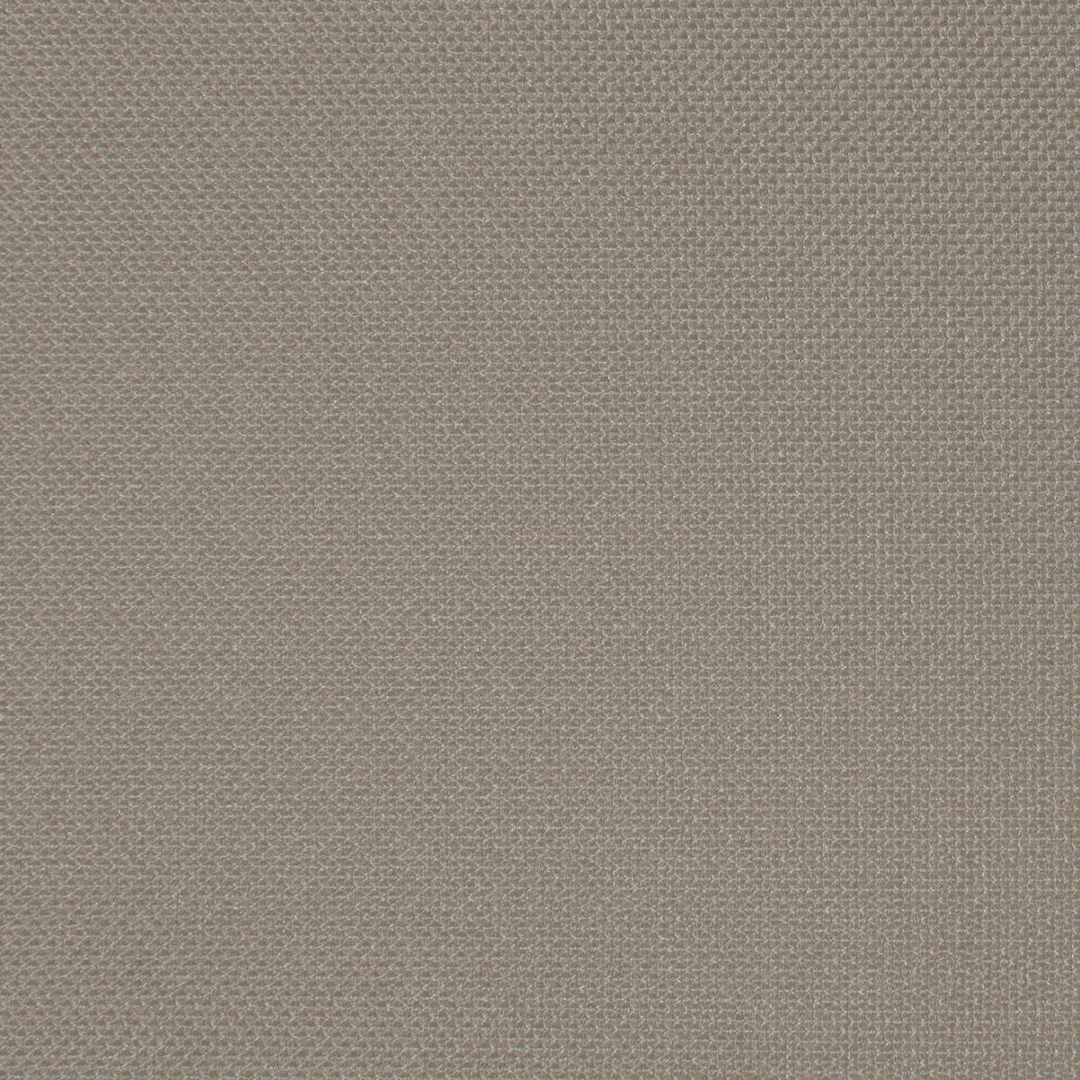 SEITENZUGROLLO lichtdurchlässig L2000 - Grau, Textil (150/250/250cm) - VIEWTEX