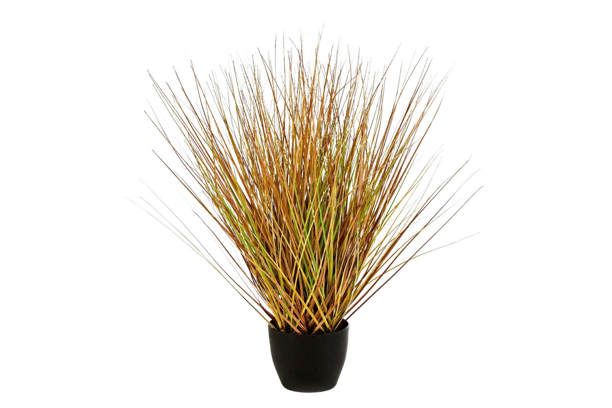 GRÄSER Künstliches Gras - Mia 50 cm - Multicolor, Kunststoff (50cm) - aplanta