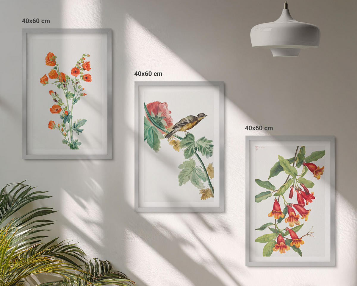 WANDBILDER 3er Set - 40x60 cm Silberner Rahmen - Gemalte Blumen und ein Vogel - Silberfarben, Kunststoff (40/60cm) - ArtPrintCave