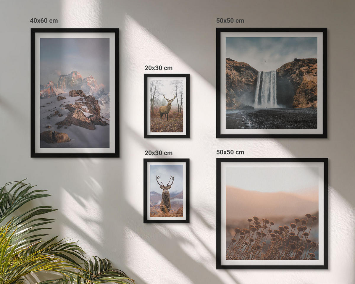 WANDBILDER 5er-Set - 50x50 cm & 20x30 cm & 40x60 cm Schwarzer Rahmen - Urlaub Palmen Wasserfall - Schwarz, Kunststoff (40/60cm) - ArtPrintCave