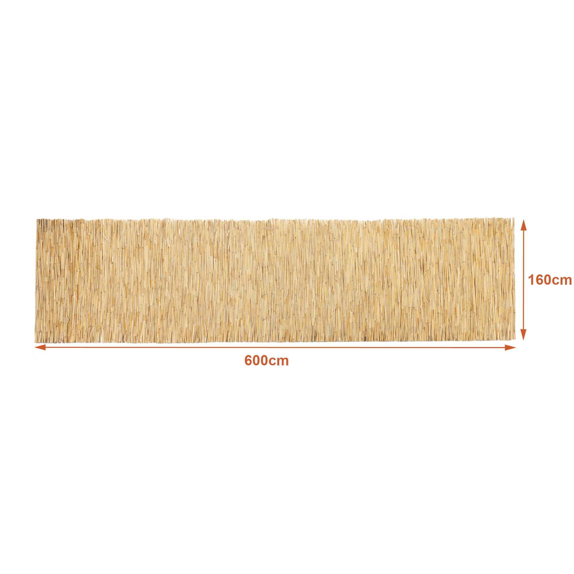 SCHILFZAUN Abbateggio - Naturfarben, Naturmaterialien (160/0.6cm) - casa.pro