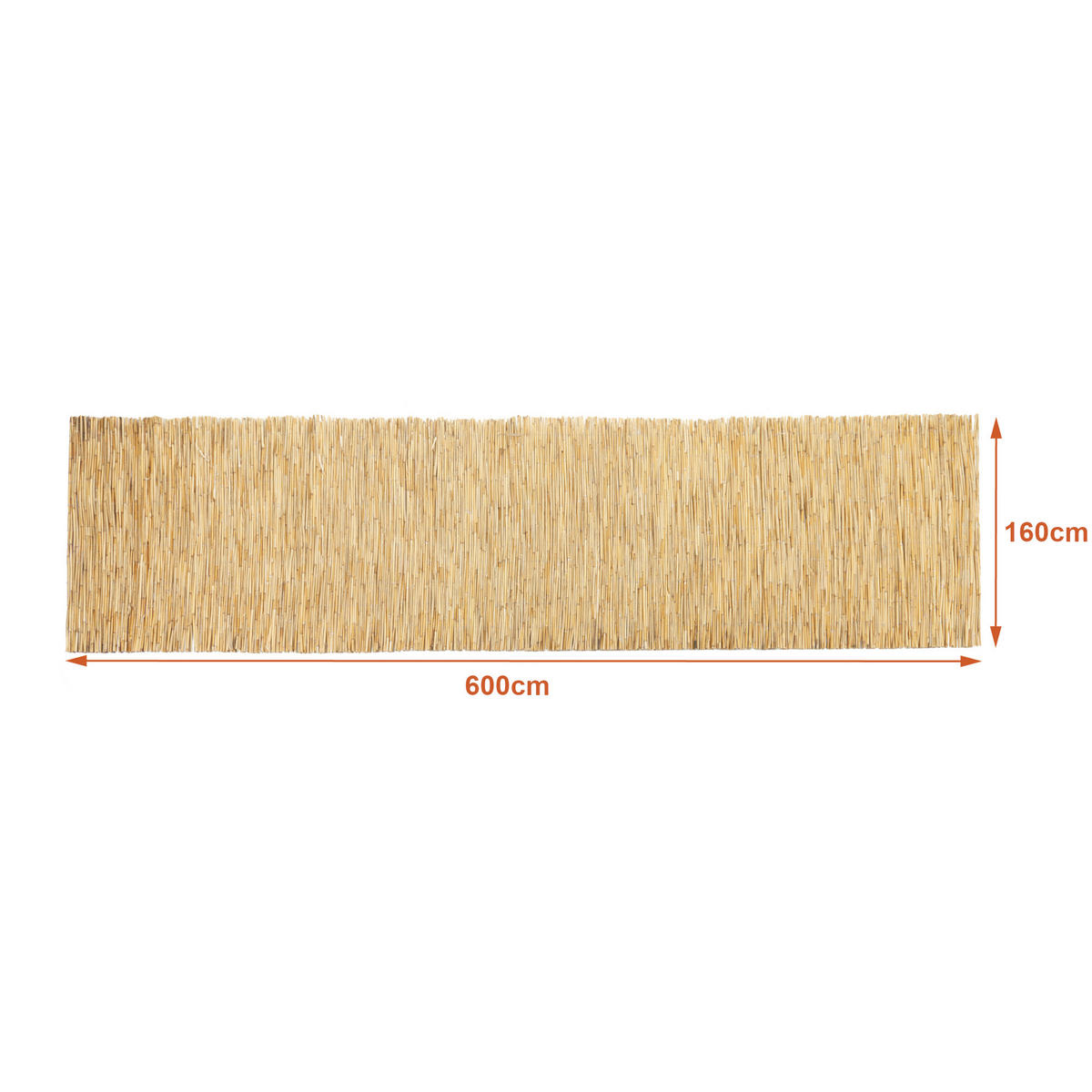 SCHILFZAUN Abbateggio - Naturfarben, Naturmaterialien (160/0.6cm) - casa.pro