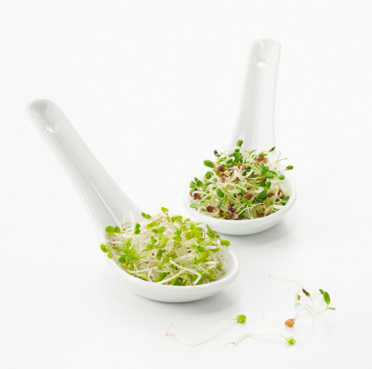 AMUSE Gueule / Chinesischer Porzellanlöffel 13 cm Weiss - Weiß, Keramik (13cm) - Revol Porcelaine France