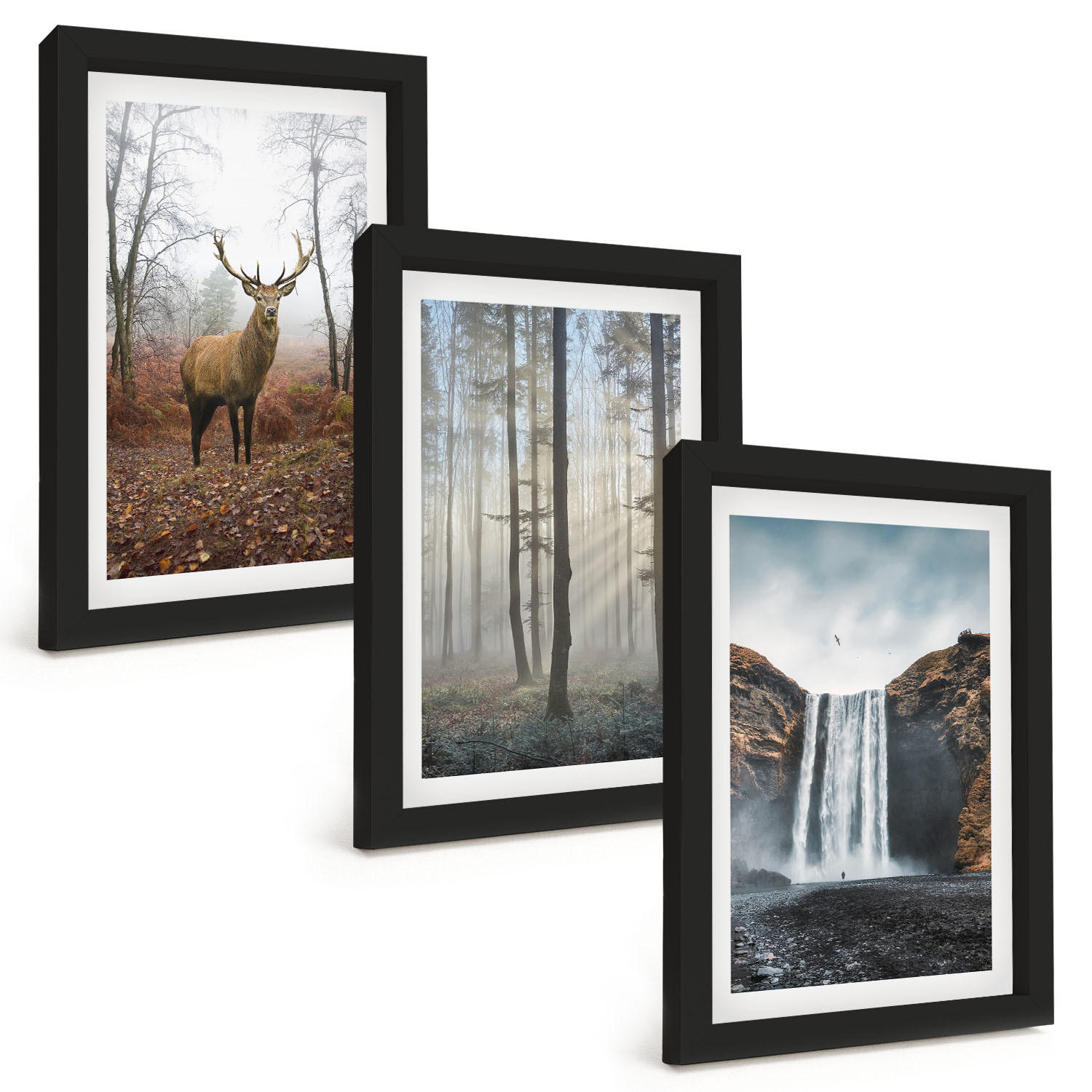 BILDER SET 3er Set - 20x30 cm Schwarzer Rahmen - Waldlandschaften, wilde Natur - Schwarz, Kunststoff (20/30cm) - TULUP