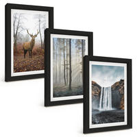 BILDER SET 3er Set - 20x30 cm Schwarzer Rahmen - Waldlandschaften, wilde Natur - Schwarz, Kunststoff (20/30cm) - TULUP