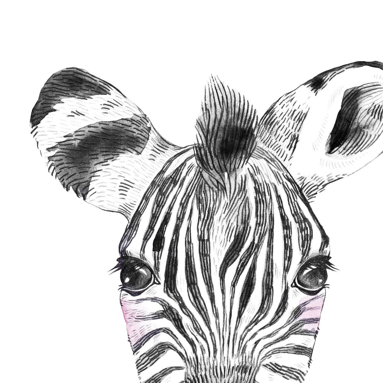 POSTER Set Mit 6 Tiere Babys Mit Kaugummi Zebra Rino Deer Kuhpferd Und Flamme A4 Schwarzer Rahmen - Schwarz, Papier (29/3cm) - Nacnic