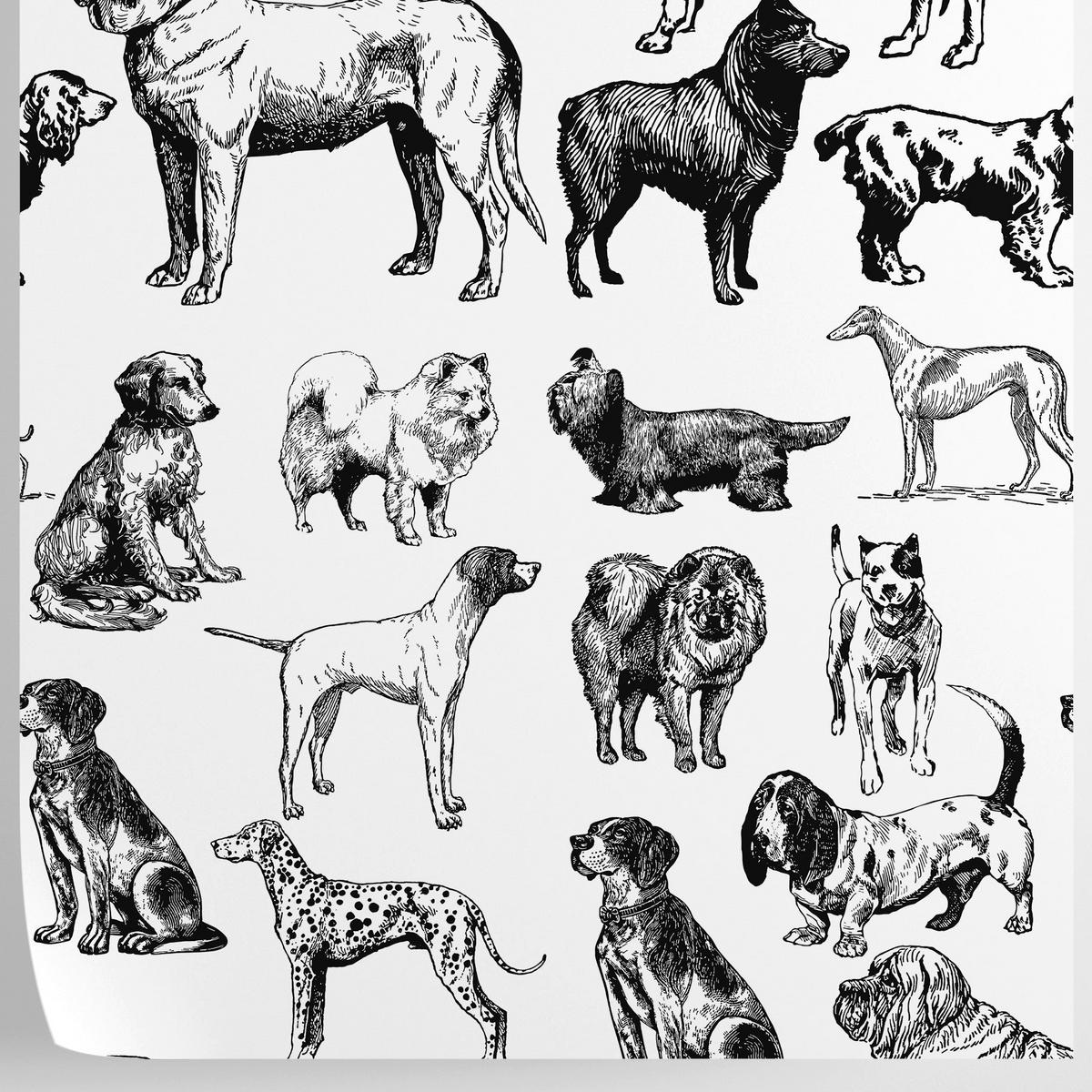 TAPETE Hunde aus echtem Papier, 200x280cm, 8 Bögen - Weiß, Papier (200/280cm) - WALLPAPERS4BEGINNERS