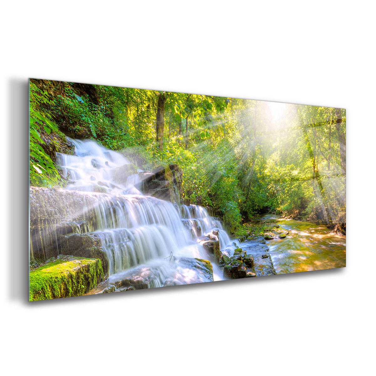 GLASBILD 120x60 cm Wald - Limette, Glas (120/60cm) - TULUP