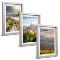 BILDER SET 3er Set - 20x30 cm Silberner Rahmen - Berglandschaft mit Blumen - Silberfarben, Kunststoff (20/30cm) - TULUP