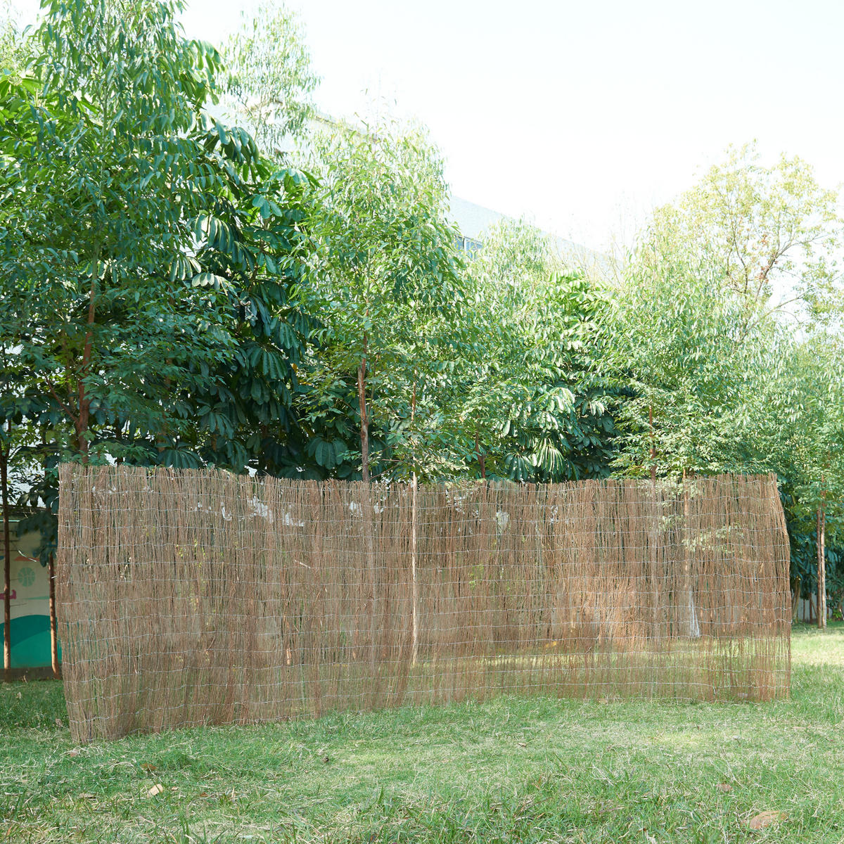 REISIGZAUN Brielle - Naturfarben, Naturmaterialien (150/0.6cm) - casa.pro