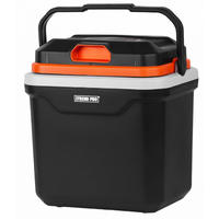 KÜHLBOX Thermoelektrisch ICE-COOL mit Kühl- und Warmhaltefunktion 30 Liter - Weiß, Kunststoff (29.3/42.8/41.5cm) - PROREGAL
