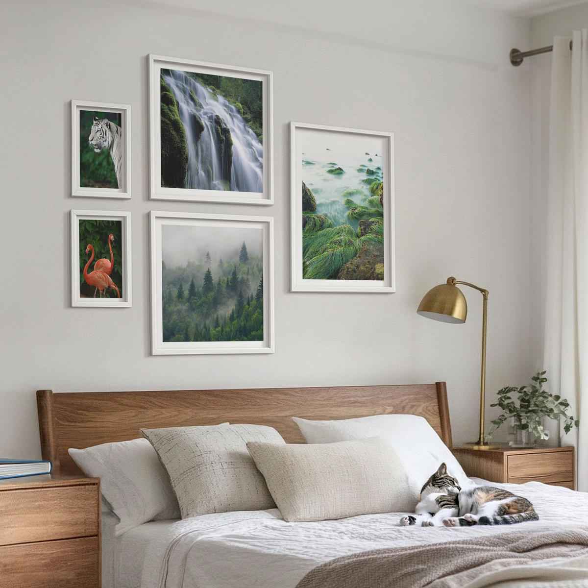WANDBILDER 5er-Set - 50x50 cm & 20x30 cm & 40x60 cm Weißer Rahmen - Tiger Wasserfall Flamingos Natur - Weiß, Kunststoff (40/60cm) - ArtPrintCave