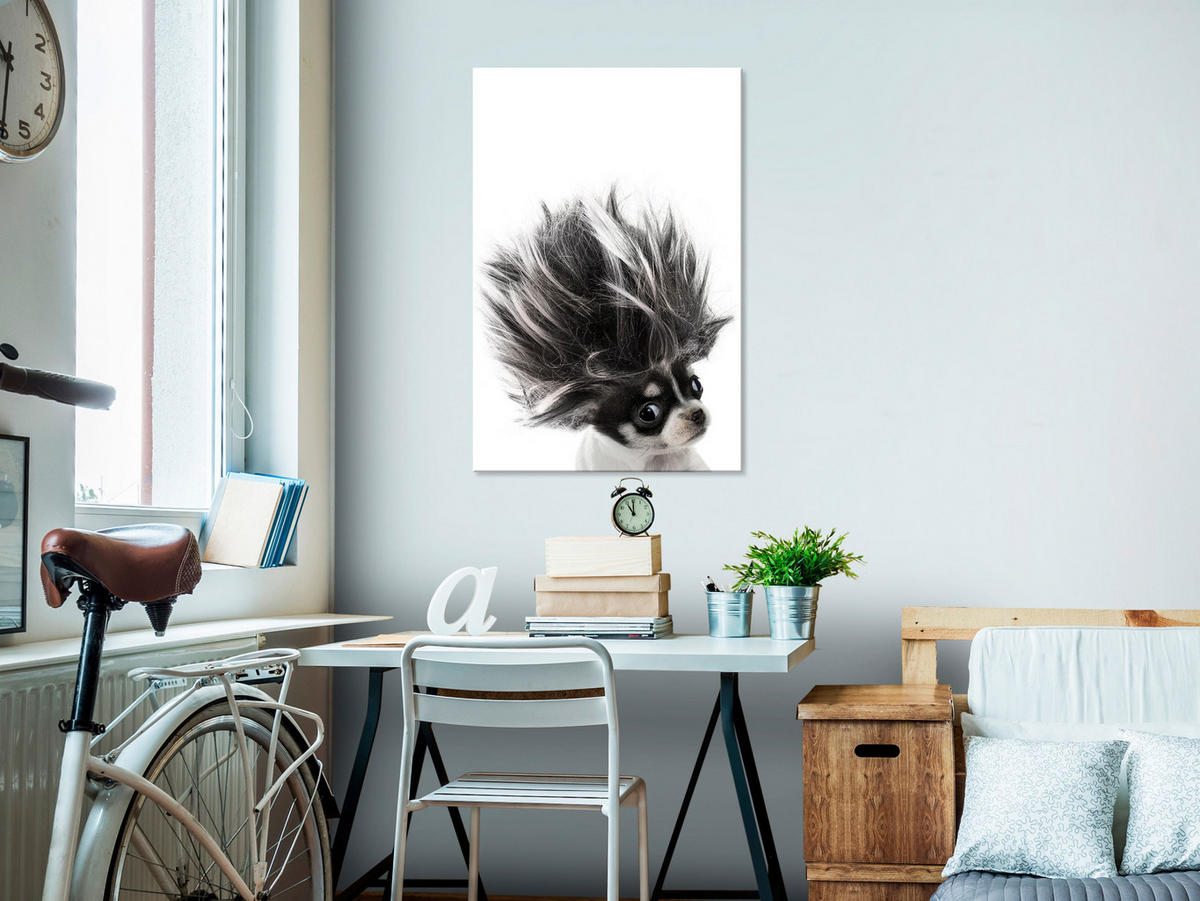 KUNSTDRUCK Weiß 40/60 cm - Schwarz/Weiß, Textil (40/60cm) - KUNSTLOFT