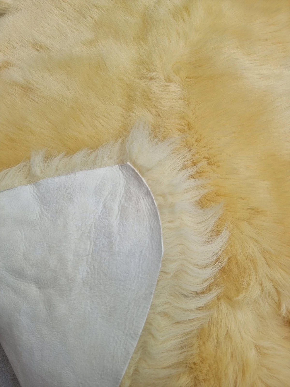SCHAFFELL Premium Lammfell Natur ungeschoren weiche Wolle Medizinisch gegerbt ca. 135 cm - Gelb, Fell (75/135cm) - Provellus