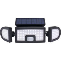 LED-SOLAR-STRAHLER - mit Bewegungsmelder und Fernbedienung, kaltweißes Licht für Außenbereiche, spritzwassergeschützt - Schwarz, Kunststoff (12.1/9/29cm) - Northpoint