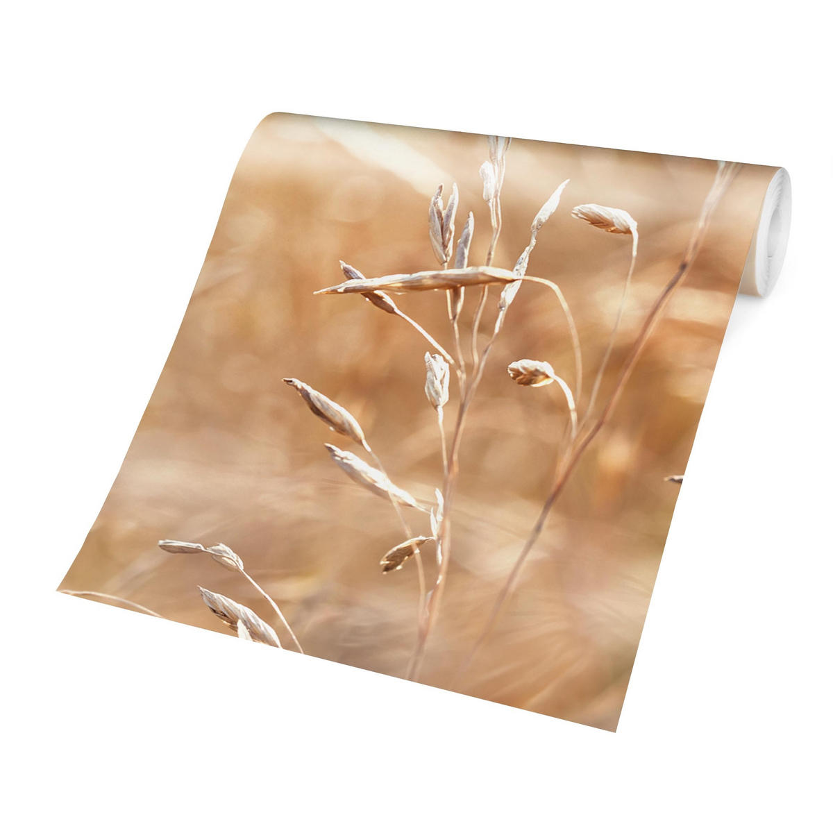 FOTOTAPETE Gräser im Sonnenschein 336/225 cm - Eichefarben, Papier (336/225cm) - Bilderwelten