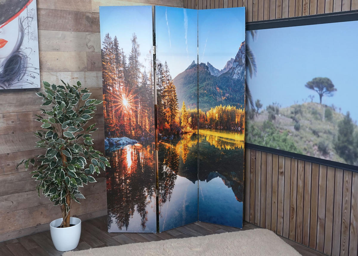 FOTO-PARAVENT MIT SCHALLSCHUTZ Multicolor - Multicolor, Textil (122/180/2cm) - MCW