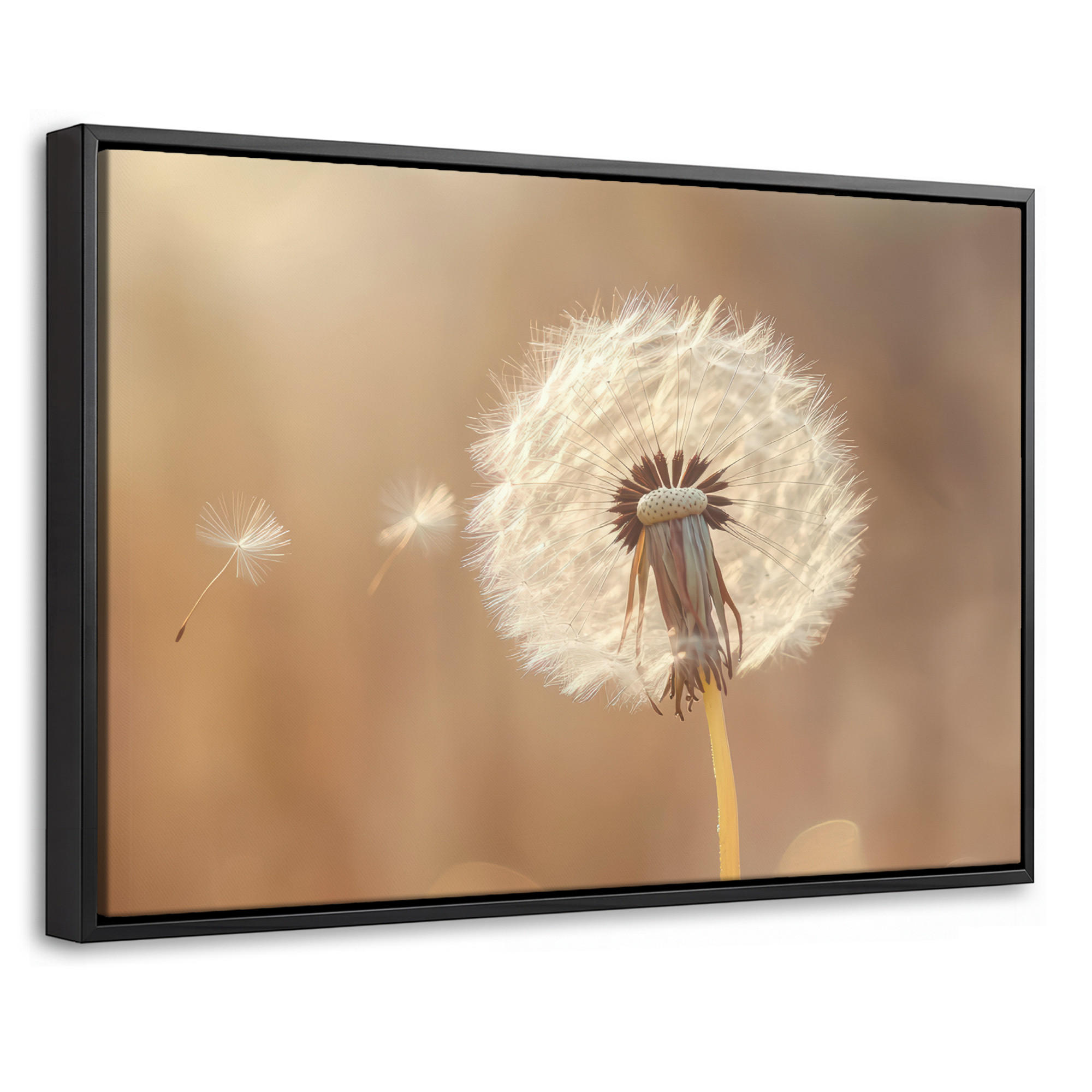 MuchoWow Leinwand Hellbraun 30x20 cm