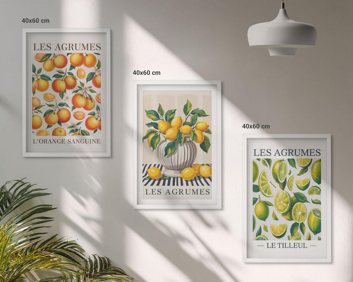 WANDBILDER 3er-Set - 40x60 cm Weißer Rahmen - Zitrusfrüchte in farbenfrohen Varianten - Weiß, Kunststoff (40/60cm) - ArtPrintCave