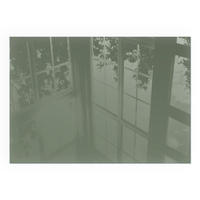 GLASPLATTE für Kamin 100x70 cm - Grün, Glas (100/70/0.4cm) - TULUP