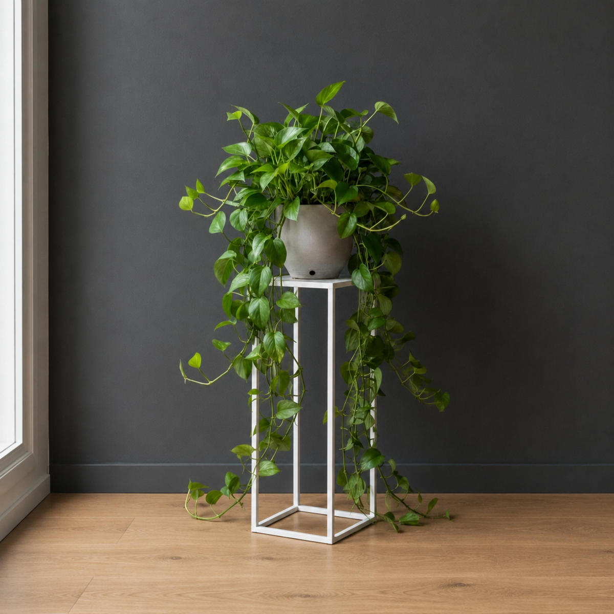 DANDIBO Blumenhocker Metall Weiß Eckig 50 cm Blumenständer Beistelltisch 96482 S Blumensäule Modern Pflanzenständer Pflanzenhocker - Weiß, Metall (18/50/18cm) - DanDiBo