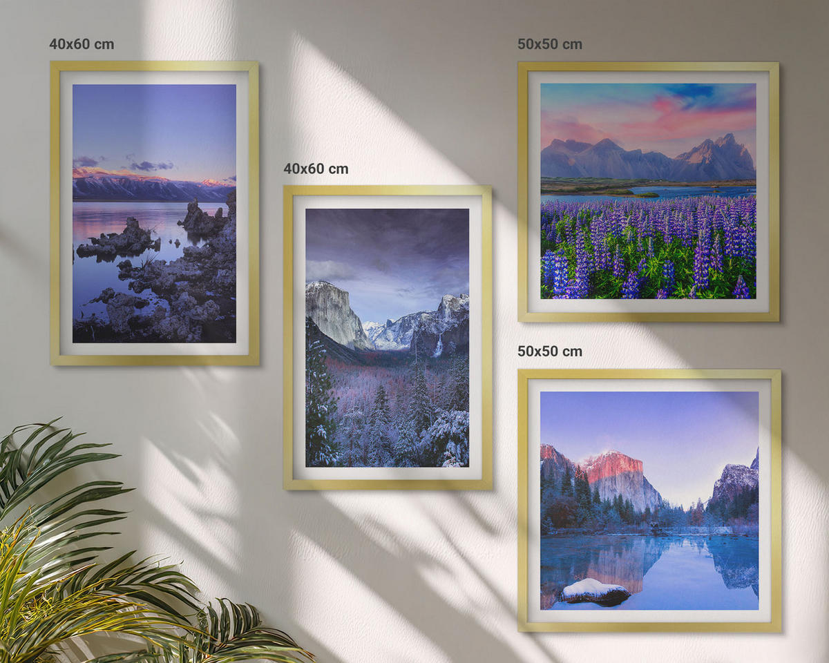 BILDER SET 4er Set - 50x50 cm & 40x60 cm Goldrahmen - Berglandschaften, Wasser, Blumenfeld - Goldfarben, Kunststoff (50/50cm) - TULUP
