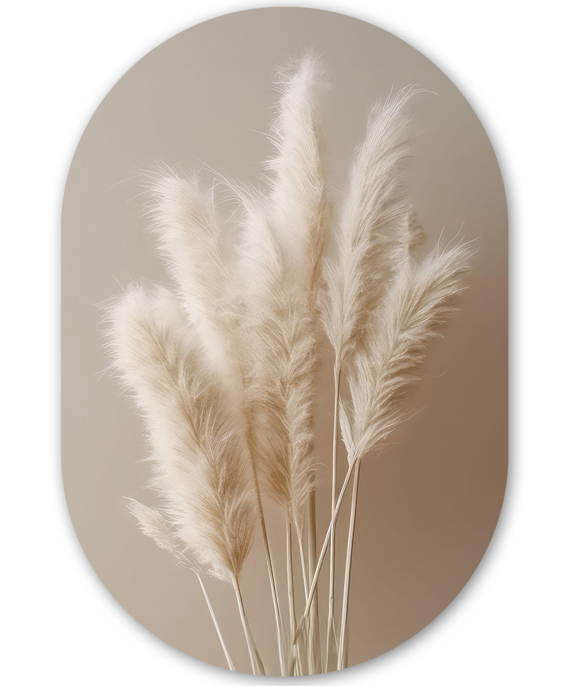 WANDBILD Pampasgras - Federn - Pastell - Weiß 60x90 cm - Sandfarben, Kunststoff (60/90cm) - MuchoWow