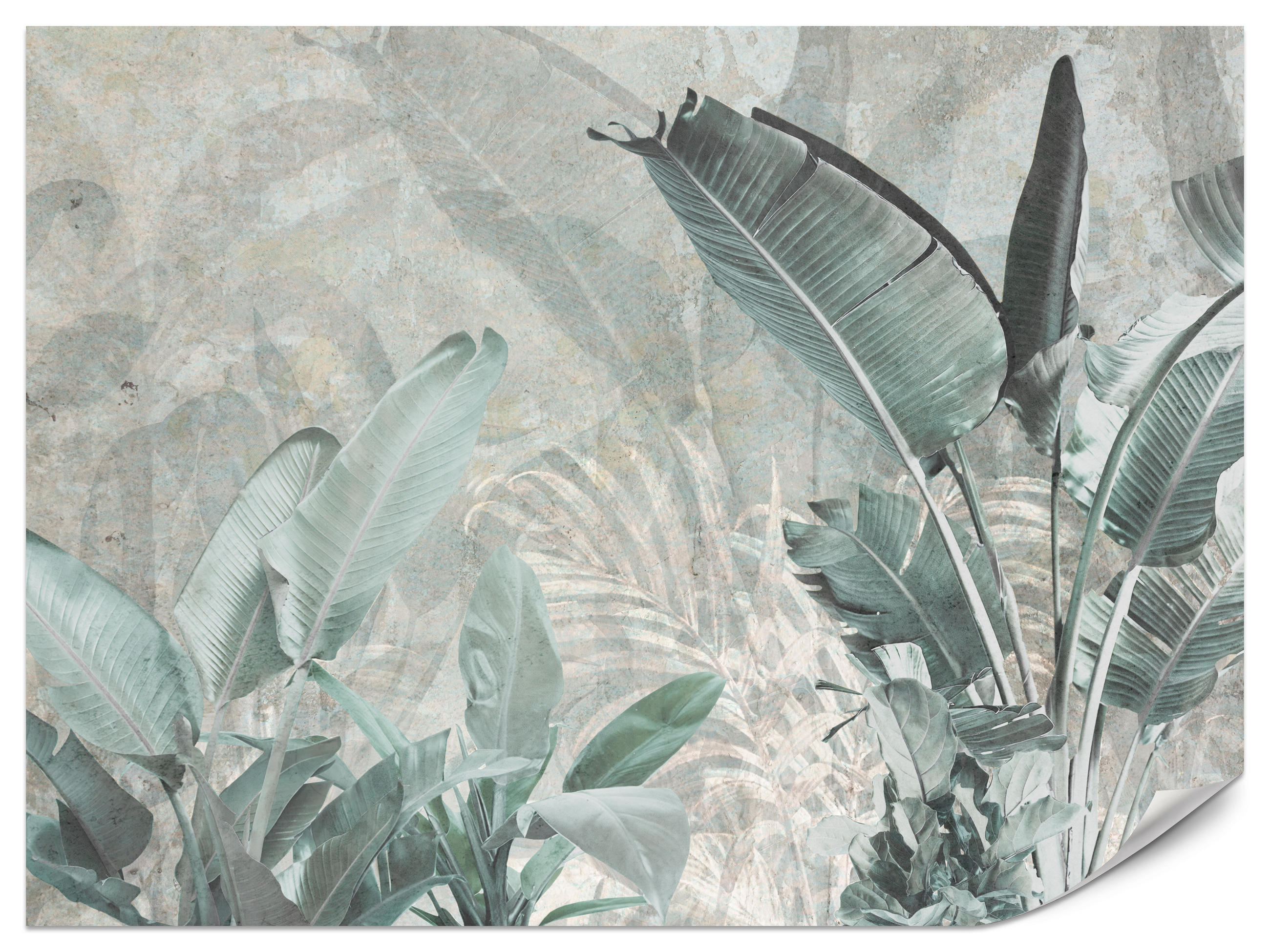 FOTOTAPETE für Küche Beton Bananenblätter Abstrakt Pflanzen Vintage 350x256 - Beige/Grau, Papier (350/256cm) - Muralo