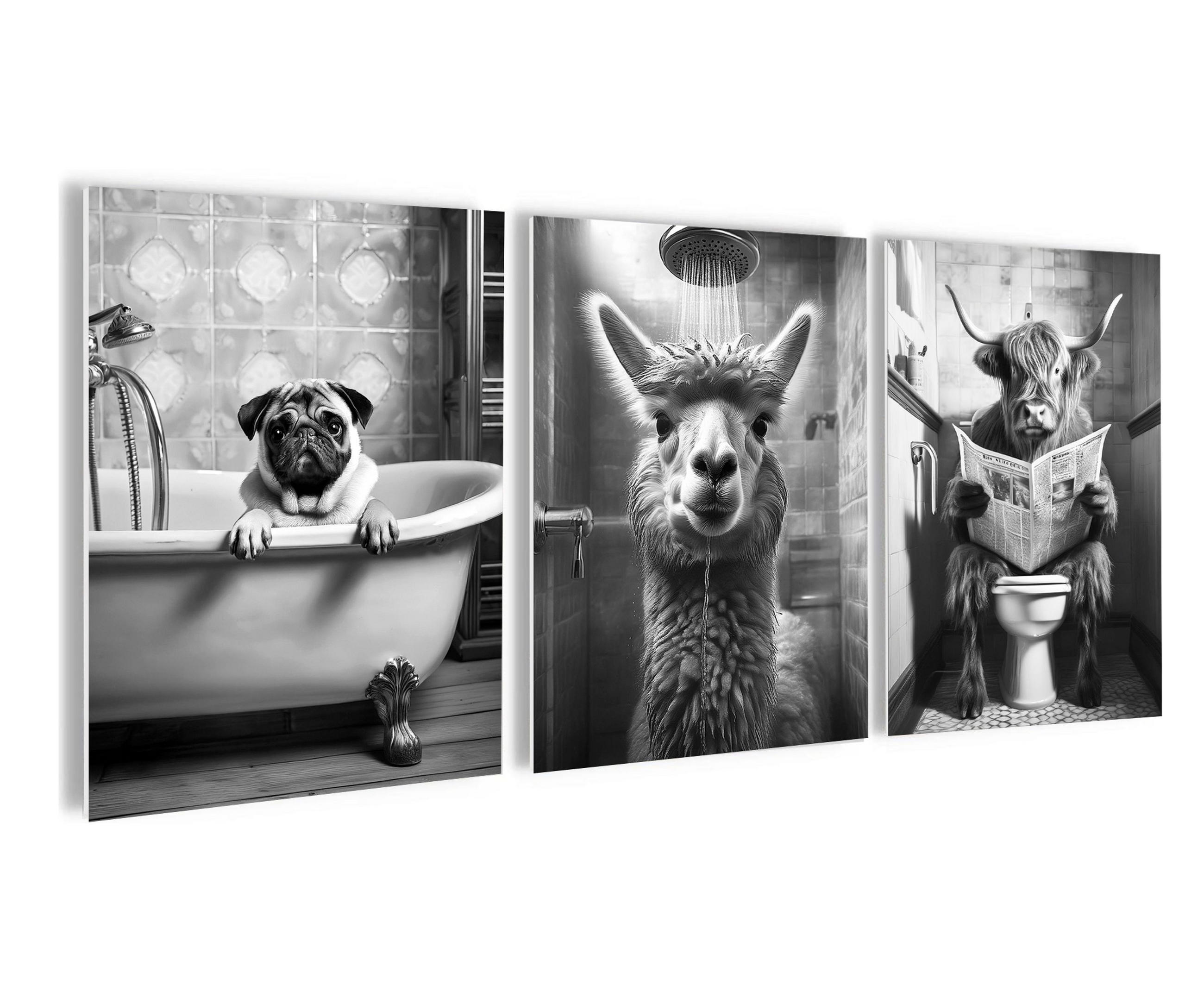 BILDERSET 3er-Set 30x40 cm Tiere schwarz-weiß - Weiß, Kunststoff (30/40cm) - artissimo