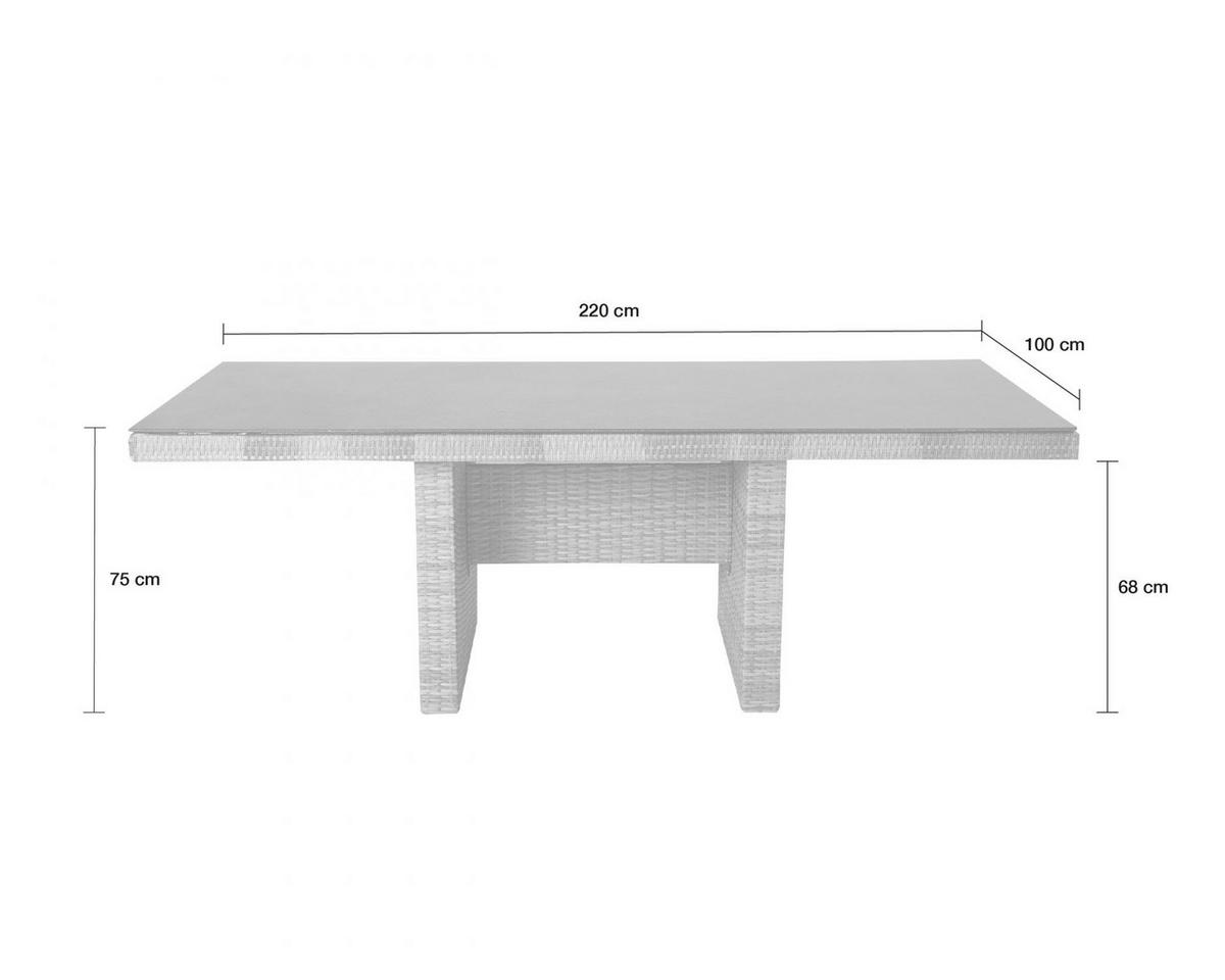 GARTENTISCH Topeka 220x95x74cm Spraystone, Braun - Braun, Stein (100/220/75cm) - dasmöbelwerk