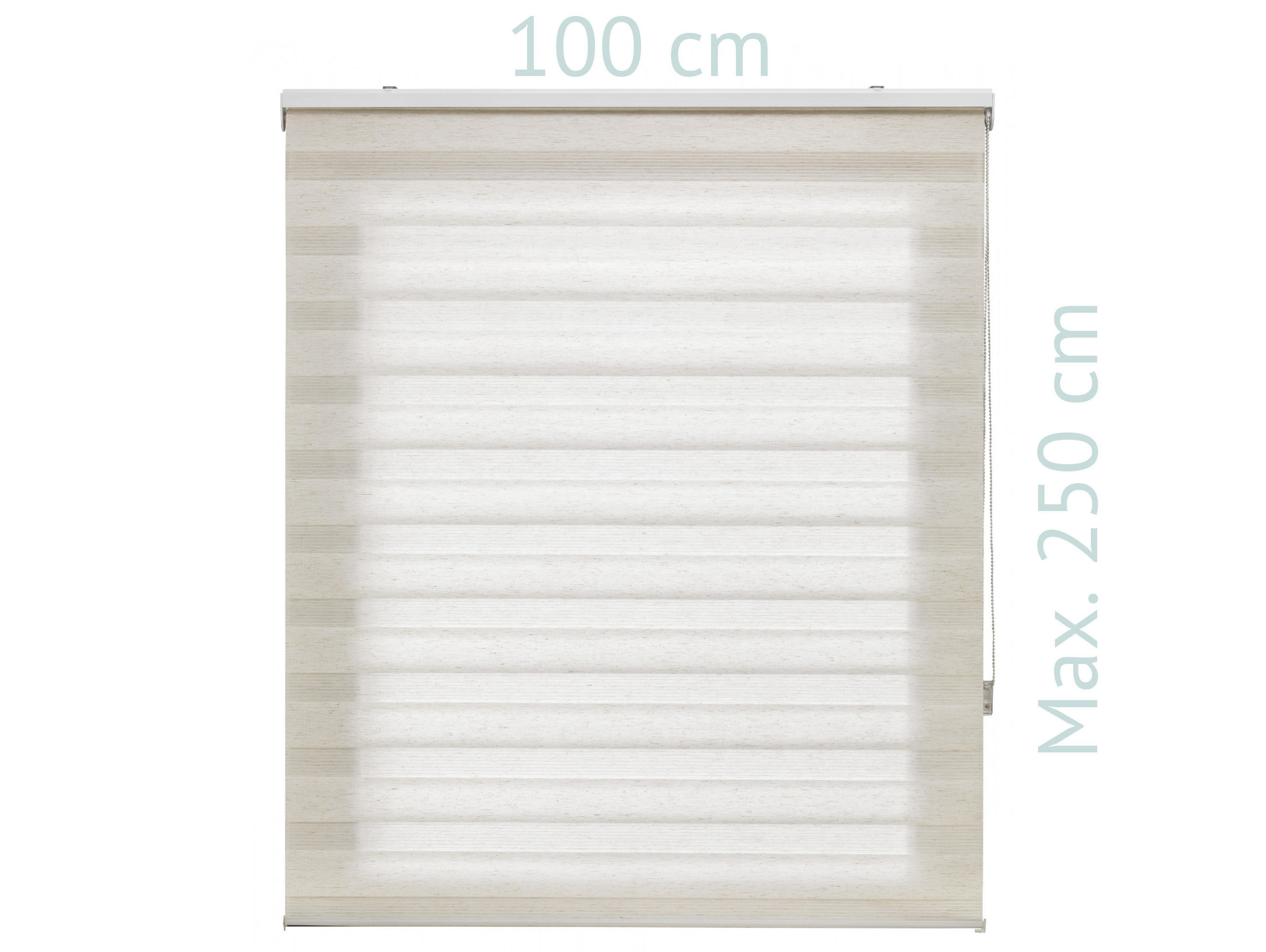 ROLLO Polyester Transluzent Grauweiß 100x250 - Hellgrau, Textil (100/250/1cm) - Purline
