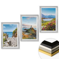 WANDBILDER 3er Set - 40x60 cm Silberner Rahmen - Strand, Leuchtturm, Berge, Blumen - Silberfarben, Kunststoff (40/60cm) - ArtPrintCave