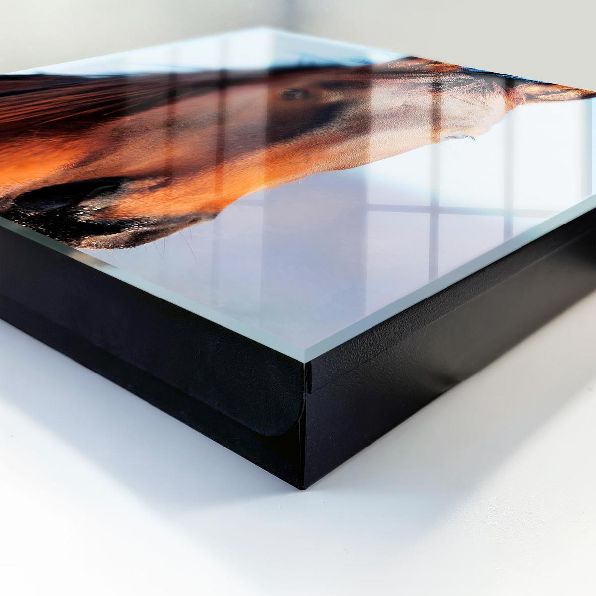 SCHLÜSSELBOX Schwarz 30x30 cm- Türöffnung nach rechts - Porträt eines Pferdes - Braun, Metall (30/30/5cm) - TULUP